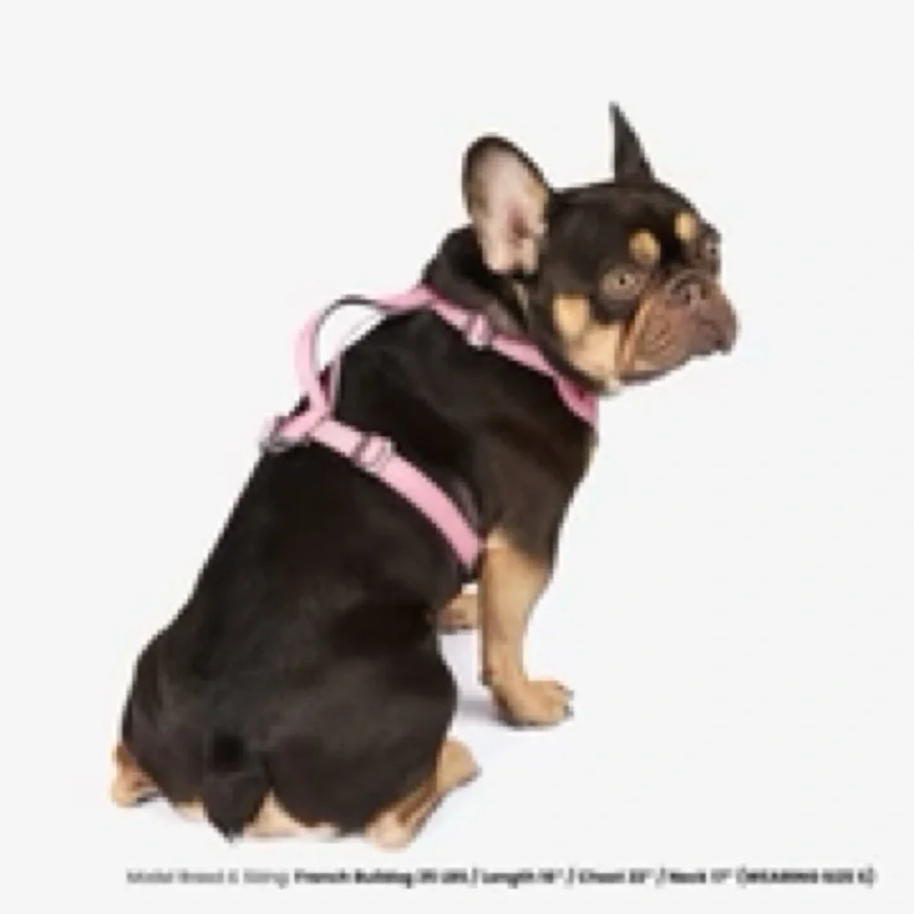 Nandog Pet Gear Neoprene Sport Dog Harness - Pink Size : M - Picture 4 of 6